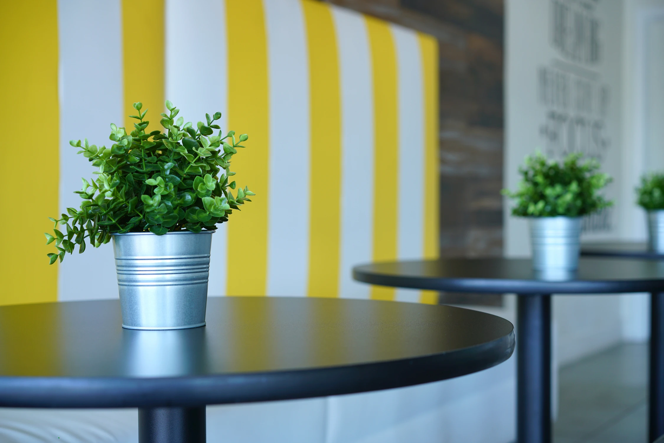 Potted plant on black café table against striped booth