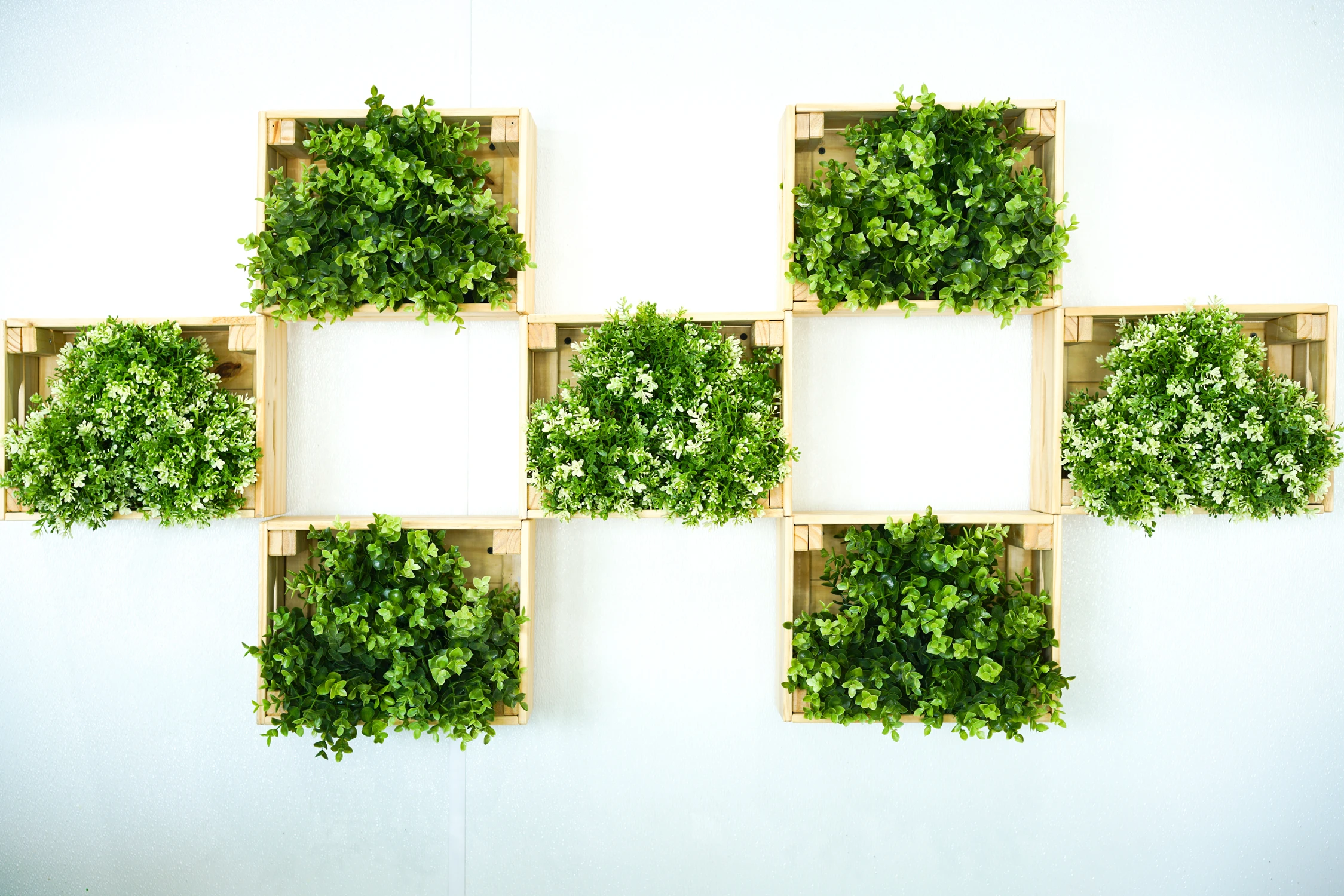 Grid of lush green wall planters on white wall
