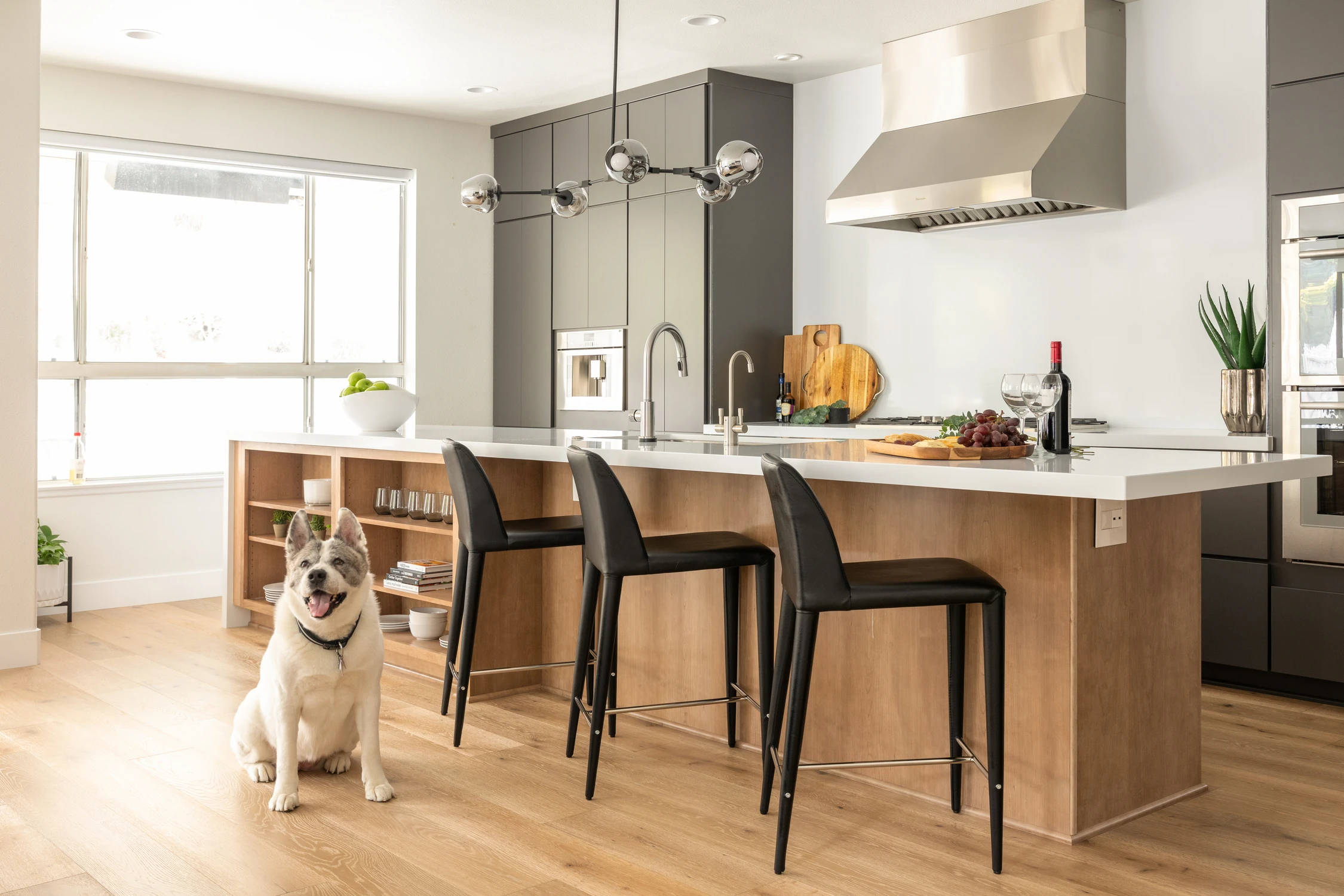 Small dog sitting beside black kitchen stools and wood island